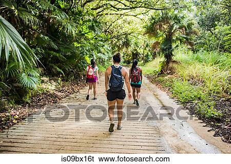 Hikers on Moanalua Valley Trail, Oahu, Hawaii View Large Photo Image Stock Photograph - Hikers on Moanalua Valley Trail, Oahu, Hawaii. Fotosearch