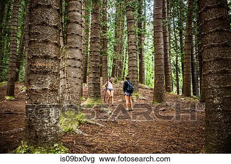Stock Image - Hikers on Sleeping Giant Trail, Kauai, Hawaii. Fotosearch