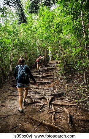 Hikers on Sleeping Giant Trail, Kauai, Hawaii View Large Photo Image Stock Image - Hikers on Sleeping Giant Trail, Kauai, Hawaii. Fotosearch