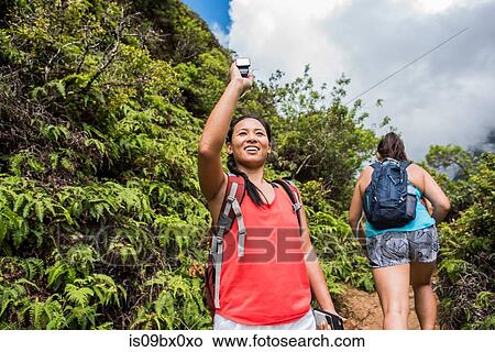 Picture - Hikers walking in rainforest, Iao Valley, Maui, Hawaii. Fotosearch