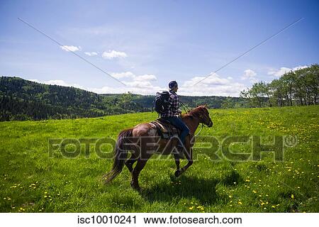 Horse rider on green landscape, Calgary, Canada View Large Photo Image Stock Image - Horse rider on green landscape, Calgary, Canada. Fotosearch