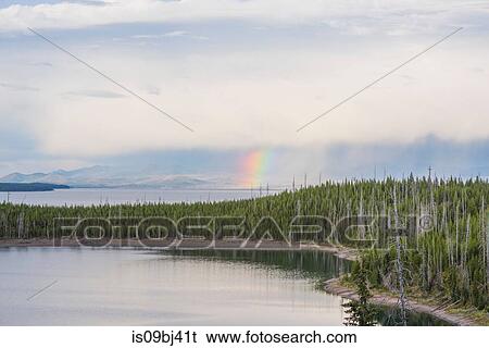 Lake and forest landscape with rainbow on horizon, Yellowstone National Park, Wyoming, USA View Large Photo Image Stock Photograph - Lake and forest landscape with rainbow on horizon, Yellowstone National Park, Wyoming, USA. Fotosearch