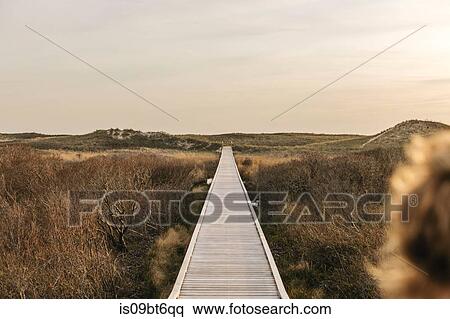 Landscape view with coastal dune boardwalk, Menemsha, Martha's Vineyard, Massachusetts, USA View Large Photo Image Stock Photography - Landscape view with coastal dune boardwalk, Menemsha, Martha's Vineyard, Massachusetts, USA. Fotosearch