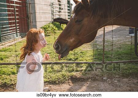 Little girl kissing horse on nose in farm View Large Photo Image Stock Photo - Little girl kissing horse on nose in farm. Fotosearch