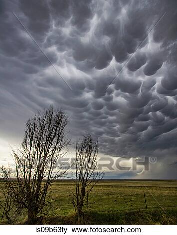 Mammatus clouds in rural area, Last Chance, Colorado, United States, North America View Large Photo Image Stock Photo - Mammatus clouds in rural area, Last Chance, Colorado, United States, North America. Fotosearch