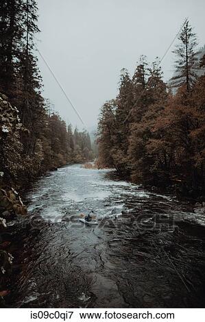 Man kayaking in river, Yosemite National Park, California, United States View Large Photo Image Stock Photo - Man kayaking in river, Yosemite National Park, California, United States. Fotosearch