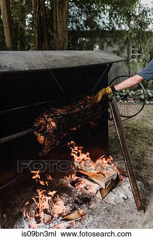 Man rotating hog roast spit in garden, cropped View Large Photo Image Stock Image - Man rotating hog roast spit in garden, cropped. Fotosearch