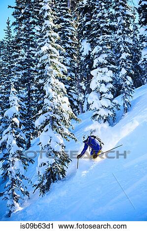 Man skiing down steep snow covered forest, Aspen, Colorado, USA View Large Photo Image Stock Image - Man skiing down steep snow covered forest, Aspen, Colorado, USA. Fotosearch