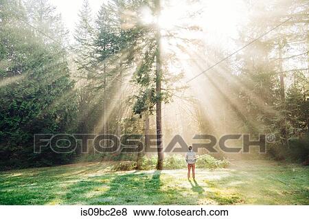 Stock Photo - Man standing, looking at sunlight shining through trees, rear view, Bainbridge, Washington, USA. Fotosearch