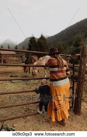 Stock Image - Mid adult mother with toddler daughter looking at horses in paddock, rear view, Mineral King, California, USA. Fotosearch