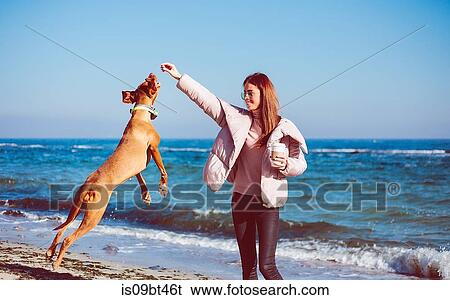 Mid adult woman on beach playing with her dog, Odessa, Odeska Oblast, Ukraine View Large Photo Image Stock Photograph - Mid adult woman on beach playing with her dog, Odessa, Odeska Oblast, Ukraine. Fotosearch