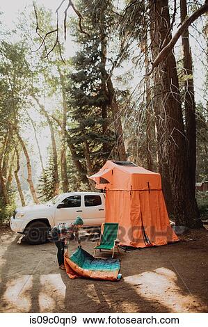 Stock Photo - Mid adult woman unfolding sleeping bag in forest camp site, Mineral King, California, USA. Fotosearch