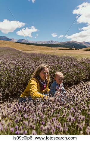 Stock Photograph - Mother and baby relaxing in meadow, Wanaka, Taranaki, New Zealand. Fotosearch