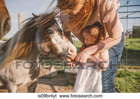 Mother and daughter feeding pony in farm View Large Photo Image Stock Photograph - Mother and daughter feeding pony in farm. Fotosearch