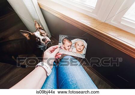 Mother holding photograph of twin baby girl and boy, personal perspective View Large Photo Image Stock Photo - Mother holding photograph of twin baby girl and boy, personal perspective. Fotosearch