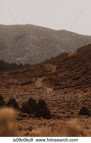Stock Photo - Motorbiker riding through landscape of Kennedy Meadows, California, US. Fotosearch
