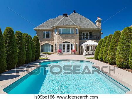 Outdoor swimming pool bordered by rows of cedar trees (Thuja occidentallis) at rear of luxurious house with beige stone View Large Photo Image Stock Photograph - Outdoor swimming pool bordered by rows of cedar trees (Thuja occidentallis) at rear of luxurious house with beige stone. Fotosearch