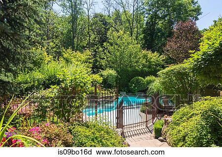 Outdoor swimming pool surrounded by wrought iron security fence and various shrubs and trees in luxury residential backyard View Large Photo Image Stock Image - Outdoor swimming pool surrounded by wrought iron security fence and various shrubs and trees in luxury residential backyard. Fotosearch