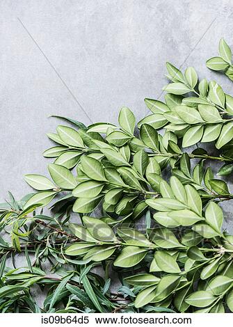 Overhead view of bunches of leaves View Large Photo Image Stock Photography - Overhead view of bunches of leaves. Fotosearch