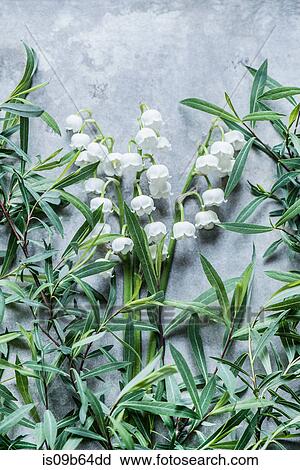 Stock Image - Overhead view of flowers and leaves. Fotosearch