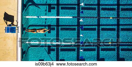 Overhead view of swimmer in pool View Large Photo Image Picture - Overhead view of swimmer in pool. Fotosearch