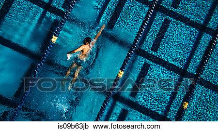 Stock Image - Overhead view of swimmer in pool. Fotosearch