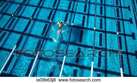 Overhead view of swimmer in pool View Large Photo Image Stock Photo - Overhead view of swimmer in pool. Fotosearch