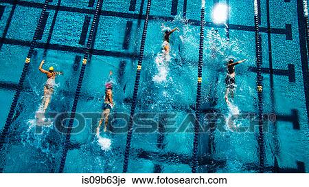 Overhead view of swimmers in pool View Large Photo Image Stock Image - Overhead view of swimmers in pool. Fotosearch
