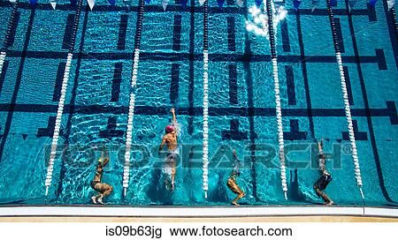 Stock Image - Overhead view of swimmers in pool. Fotosearch