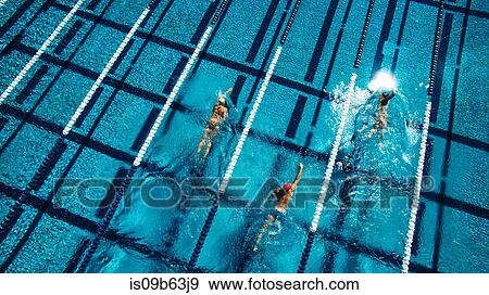 Overhead view of swimmers in pool View Large Photo Image Stock Photo - Overhead view of swimmers in pool. Fotosearch