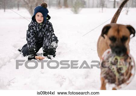 Stock Image - Pet dog running away with toy. Fotosearch