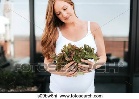 Pregnant woman admiring lettuce View Large Photo Image Stock Image - Pregnant woman admiring lettuce. Fotosearch