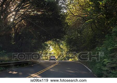 Road to Hana, Maui, Hawaii View Large Photo Image Stock Photo - Road to Hana, Maui, Hawaii. Fotosearch