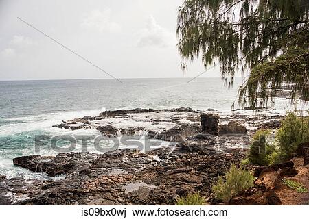 Rocky coast, Kauai, Hawaii View Large Photo Image Stock Image - Rocky coast, Kauai, Hawaii. Fotosearch
