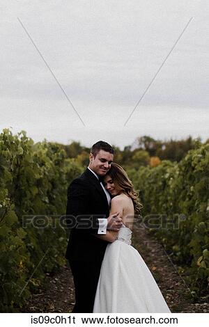 Romantic young bride and groom hugging in vineyard on wedding day View Large Photo Image Stock Photograph - Romantic young bride and groom hugging in vineyard on wedding day. Fotosearch