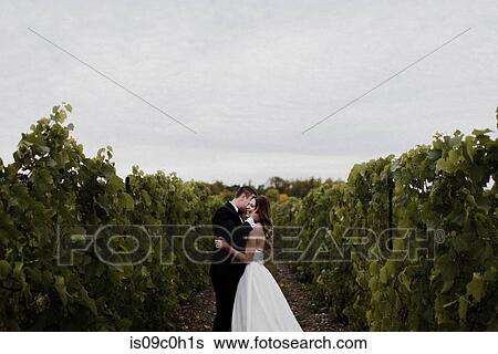 Romantic young bride and groom in vineyard on wedding day View Large Photo Image Stock Photograph - Romantic young bride and groom in vineyard on wedding day. Fotosearch
