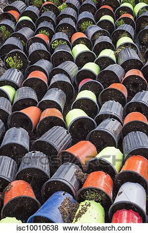 Rows of discarded tipped over blue, red, black and lime green plastic containers on the ground with withered plants, Quebec, Canada View Large Photo Image Stock Photo - Rows of discarded tipped over blue, red, black and lime green plastic containers on the ground with withered plants, Quebec, Canada. Fotosearch