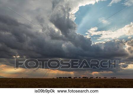 Stock Image - Scenic view, Arusha, Tanzania, Africa. Fotosearch
