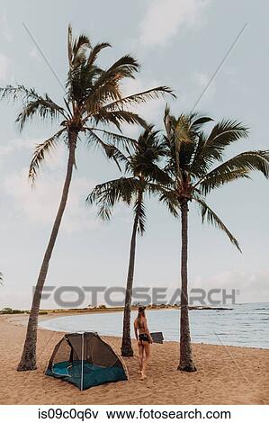 Scuba diver by tent on sandy beach, Princeville, Hawaii, US View Large Photo Image Stock Photo - Scuba diver by tent on sandy beach, Princeville, Hawaii, US. Fotosearch