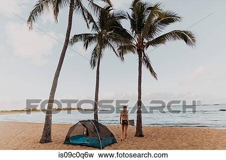Scuba diver by tent on sandy beach, Princeville, Hawaii, US View Large Photo Image Stock Photo - Scuba diver by tent on sandy beach, Princeville, Hawaii, US. Fotosearch