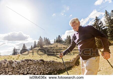 Senior man walking in rural setting, using walking poles, Geneva, Switzerland, Europe View Large Photo Image Stock Photo - Senior man walking in rural setting, using walking poles, Geneva, Switzerland, Europe. Fotosearch