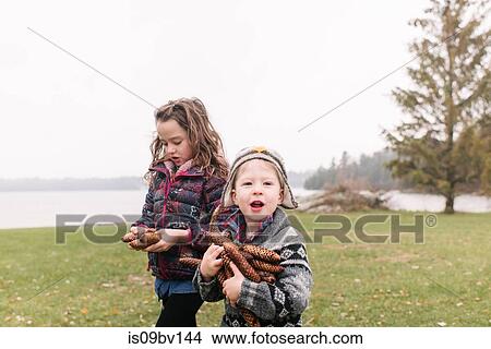 Siblings with armful of brown pine cones, Kingston, Ontario, Canada View Large Photo Image Picture - Siblings with armful of brown pine cones, Kingston, Ontario, Canada. Fotosearch