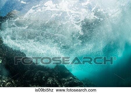 Silverside sardines swimming close to wave breakers, Puerto Vallarta, Jalisco, Mexico View Large Photo Image Stock Photo - Silverside sardines swimming close to wave breakers, Puerto Vallarta, Jalisco, Mexico. Fotosearch