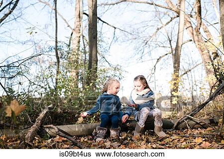 Sisters exploring nature in forest View Large Photo Image Stock Photograph - Sisters exploring nature in forest. Fotosearch