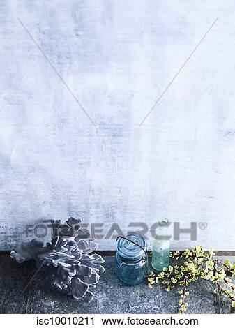 Still life arrangement of coral, jug and branch View Large Photo Image Stock Image - Still life arrangement of coral, jug and branch. Fotosearch