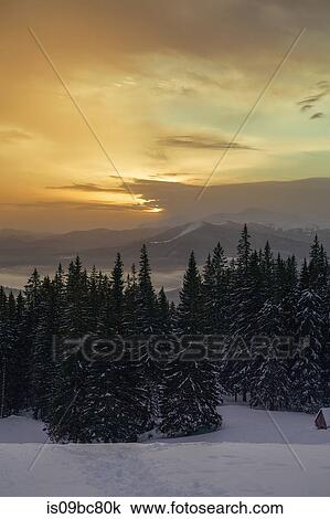 Sunset over forest in winter, Gurne, Ukraine View Large Photo Image Stock Image - Sunset over forest in winter, Gurne, Ukraine. Fotosearch
