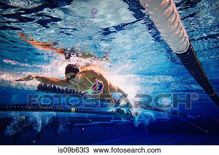Stock Image - Swimmer doing freestyle in lane. Fotosearch