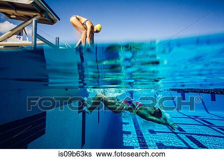 Swimmer on diving board and swimmer in pool View Large Photo Image Stock Photograph - Swimmer on diving board and swimmer in pool. Fotosearch