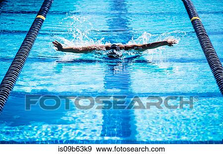 Swimmers doing butterfly stroke in lane View Large Photo Image Stock Photo - Swimmers doing butterfly stroke in lane. Fotosearch