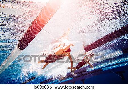 Swimmers doing freestyle in lane View Large Photo Image Stock Photography - Swimmers doing freestyle in lane. Fotosearch